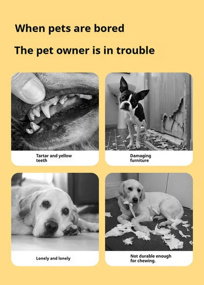 Fish-Shaped Dog Treat Dispenser Toy