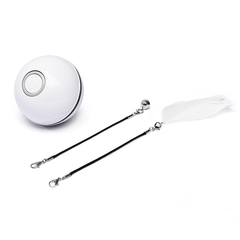 LED Laser Rolling Cat Toy