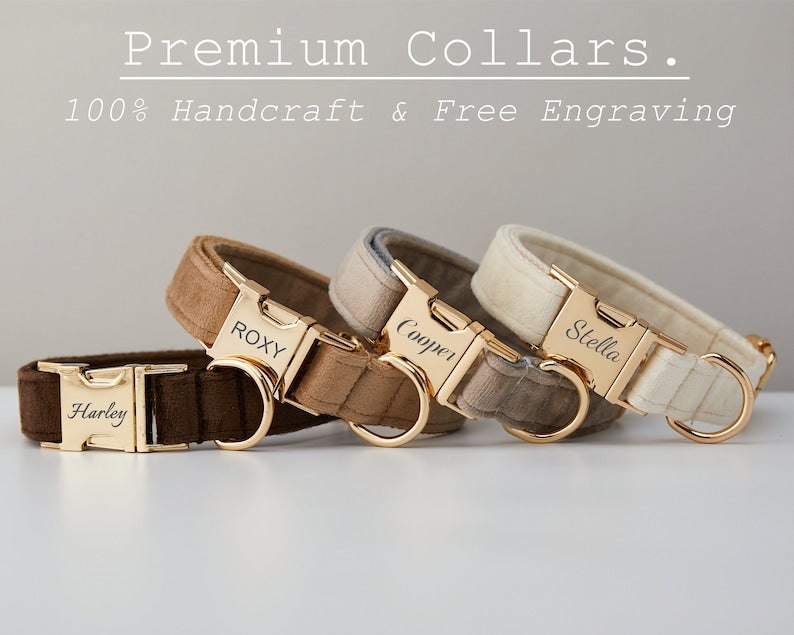 Pet Velvet Personalized Dog Collar & Leash Set