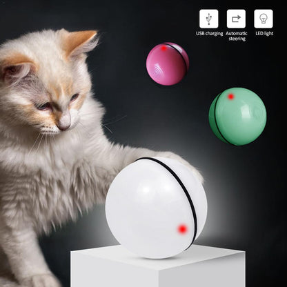 LED Laser Rolling Cat Toy